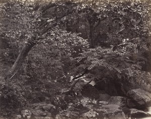 Valle a Lynmouth da Francis Frith