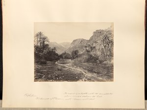 Rephidim, deserto di Paran. Teatro di una battaglia con gli Amaleciti quando Mosè sedeva sulla collina con Aronne e Hur.