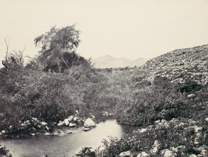 La fontana di Gerico e probabile sito della città