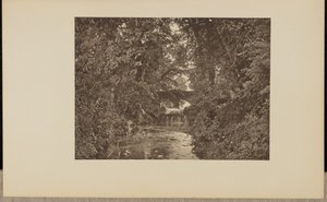 Sul fiume Taunton da Francis Frith and Co.
