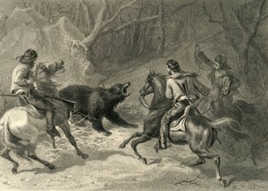 Californiani nativi che lassoano un orso, 1874