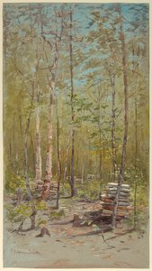 Betulle da Francis Hopkinson Smith