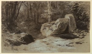 Rocce nel bosco da Francis Hopkinson Smith