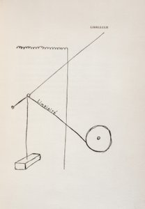 Libellula da Francis Picabia