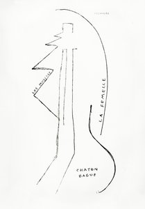 Poemes et Dessins de la Fille nee sans Mere, n. 23, pubblicato dalle Imprimeries Reunies, Losanna.