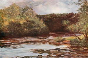 Il fiume Ayr a Failford da Francis S. Walker