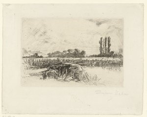 Prato acquatico