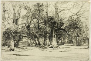 Una strada secondaria a Tipperary da Francis Seymour Haden