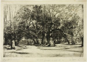 Una strada secondaria a Tipperary da Francis Seymour Haden