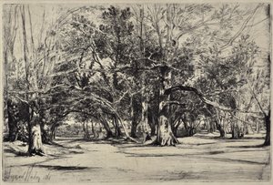 Una Stradina a Tipperary da Francis Seymour Haden