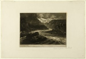 Un fiume di salmoni, n. II da Francis Seymour Haden