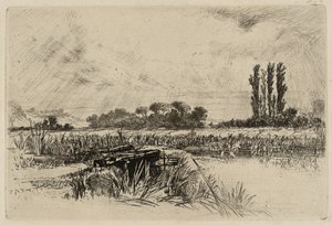 Un prato acquatico da Francis Seymour Haden