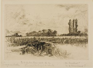 Un prato acquatico da Francis Seymour Haden