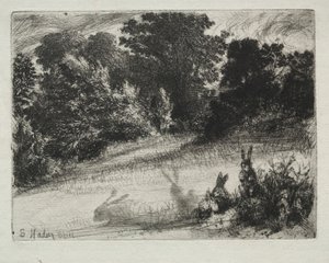 Combe Bottom da Francis Seymour Haden