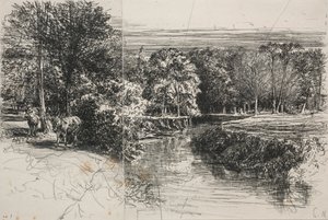 Fiume Dundrum e i Due Asini da Francis Seymour Haden