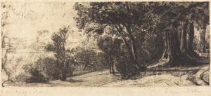 Mattina presto - Richmond