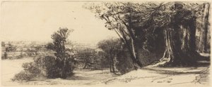 Mattina presto - Richmond