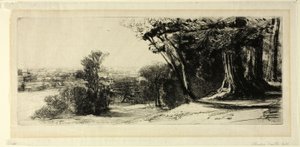 Mattina Presto, Richmond Park da Francis Seymour Haden