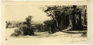 Mattina Presto, Richmond Park da Francis Seymour Haden