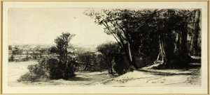 Mattina presto, Richmond Park da Francis Seymour Haden