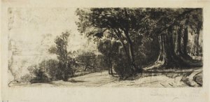 Mattina Presto, Richmond Park da Francis Seymour Haden