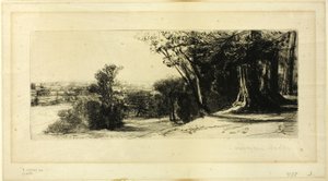 Mattina presto, Richmond Park da Francis Seymour Haden