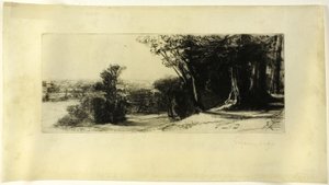 Mattina Presto, Richmond Park da Francis Seymour Haden