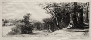 Mattina presto, Richmond Park da Francis Seymour Haden