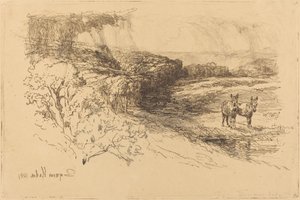 Boschi di Encombe (No.1) da Francis Seymour Haden