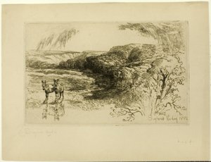 Boschi di Encombe, n. II