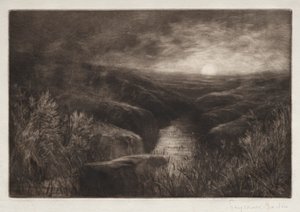 Rifugio della zanzara da Francis Seymour Haden