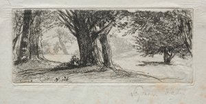 Campo di Agrifoglio da Francis Seymour Haden