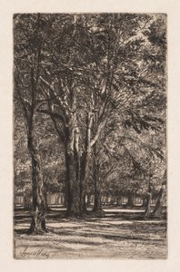Giardini di Kensington, n. 2 (La lastra più grande) da Francis Seymour Haden