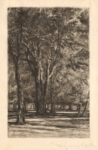 Giardini di Kensington, n. 2 Grande Piastra, 1860 da Francis Seymour Haden