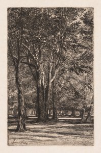 Kensington Gardens, No. 2 La Piastra Maggiore da Francis Seymour Haden