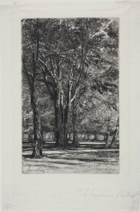 Giardini di Kensington, No. II (grande tavola) da Francis Seymour Haden