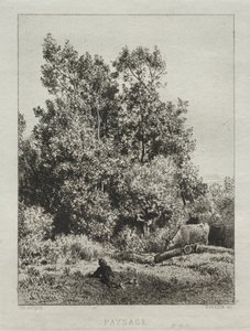 Paesaggio da Francis Seymour Haden