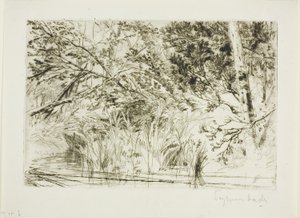 Foce di un ruscello, n. II da Francis Seymour Haden