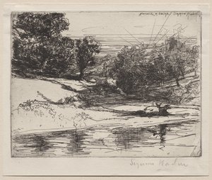 Newcastle in Emlyn da Francis Seymour Haden