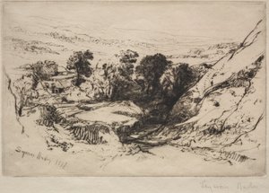 Nine Barrow Down da Francis Seymour Haden