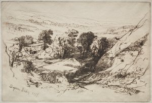 Nine Barrow Down da Francis Seymour Haden