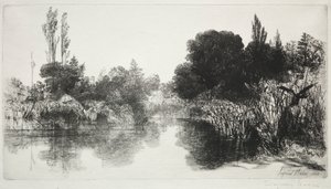 Shere Mill Pond, No. 11 (La grande lastra) da Francis Seymour Haden