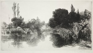 Shere Mill Pond, No. 11 La Grande Lastra da Francis Seymour Haden
