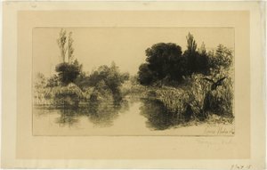 Stagno del Mulino di Shere, No. II (grande tavola) da Francis Seymour Haden