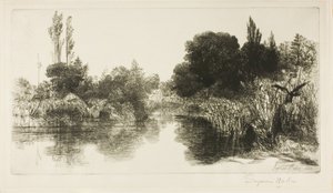 Shere Mill Pond, No. II da Francis Seymour Haden