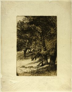 Sotto il tegmine... da Francis Seymour Haden