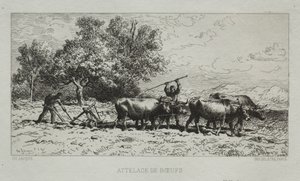 Squadra di buoi da Francis Seymour Haden