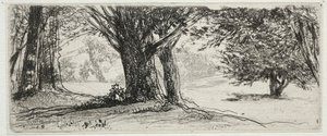 Il campo di agrifoglio da Francis Seymour Haden