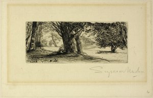 I Campi di Agrifoglio da Francis Seymour Haden