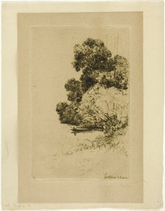 Cespugli di Twickenham da Francis Seymour Haden